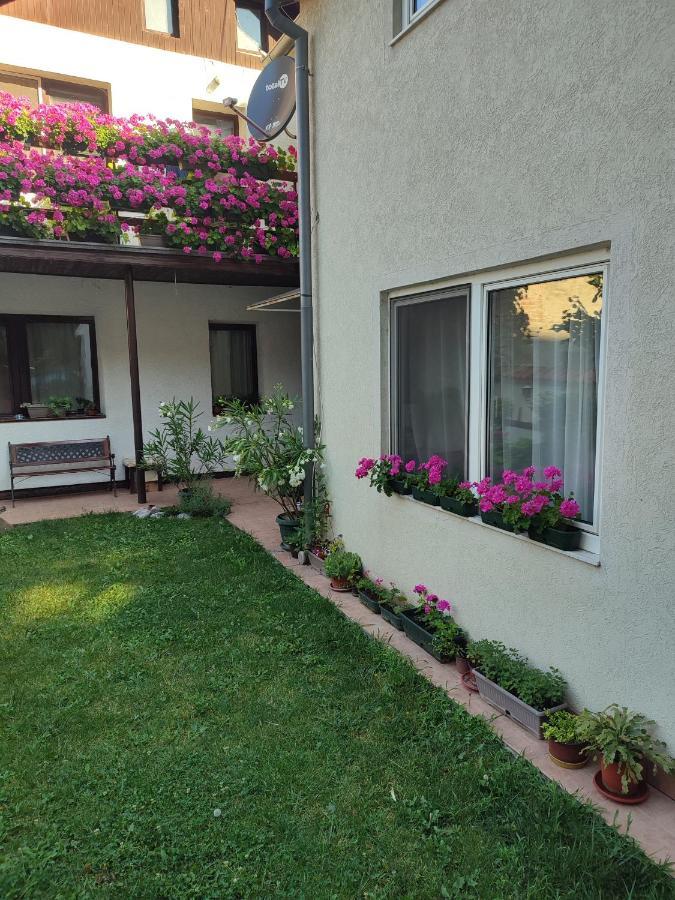 Požarevac Apartman Mitic מראה חיצוני תמונה